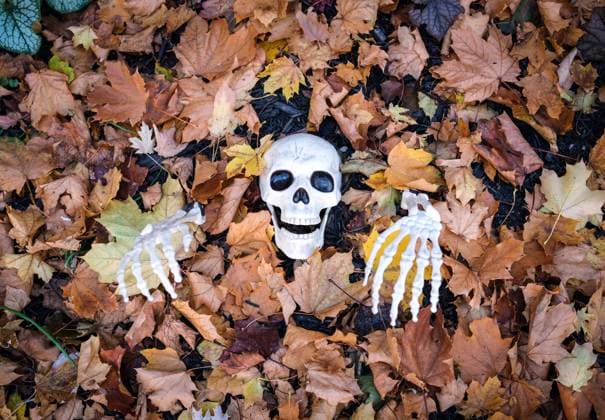 October 31, 2024, Montreal, Quebec, Canada: Halloween day general views of the streets of Montreal. Montreal Canada - ZUMAs278 20241031_zip_s278_012 Copyright: xSerkanxSenturkx