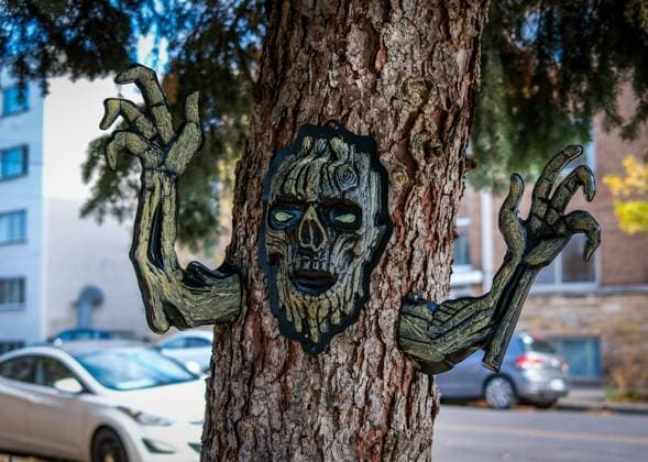 October 31, 2024, Montreal, Quebec, Canada: Halloween day general views of the streets of Montreal. Montreal Canada - ZUMAs278 20241031_zip_s278_018 Copyright: xSerkanxSenturkx