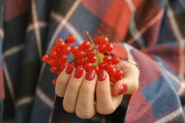 Stilvolle rote weibliche Nägel. Hände halten rote Johannisbeeren. Moderne schöne Maniküre. Herbst Winter Nageldesign Konzept der Schönheitsbehandlung. Gel Nägel. Hautpflege. Wellness. Trendige Farben Stylish red female nails. Hands Holding Red Currants. Modern Beautiful manicure. Autumn winter nail design concept of beauty treatment. Gel nails. Skin care. Wellness. Trendy colors Copyright: imageBROKER AnastasiiaxYanishevs ibxiqx11317428.jpg