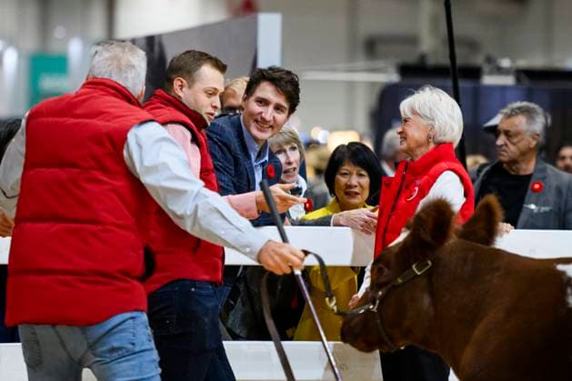 November 1, 2024, Toronto, On, Canada: Toronto Mayor Olivia Chow, centre right, joins Prime Minister Justin Trudeau alongside other dignitaries during a tour of the Royal Agricultural Winter Fair, in Toronto, Friday, Nov. 1, 2024. Toronto Canada  - ZUMAc35_ 20241101_zaf_c35_063 Copyright: xChristopherxKatsarovx