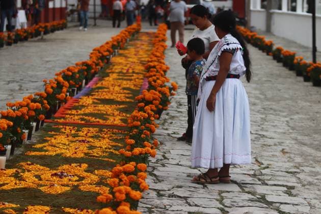 People attending Guadalupe Shrine Cemetery located in the northeastern of the state of Puebla to celebrate Mexican Dia de Muertos. on November 1, 2024 in Cuetzalan, Mexico. Cuetzalan Mexico - ZUMAe321 20241101_zia_e321_053 Copyright: xCarlosxSantiagox