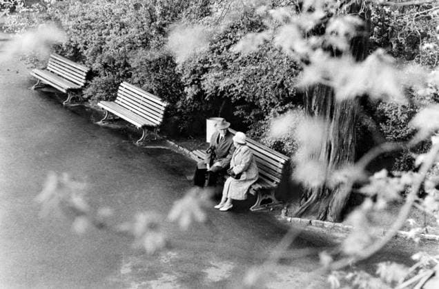 Old couple seating in garden Copyright: xTxSatyan DinodiaxPhotox