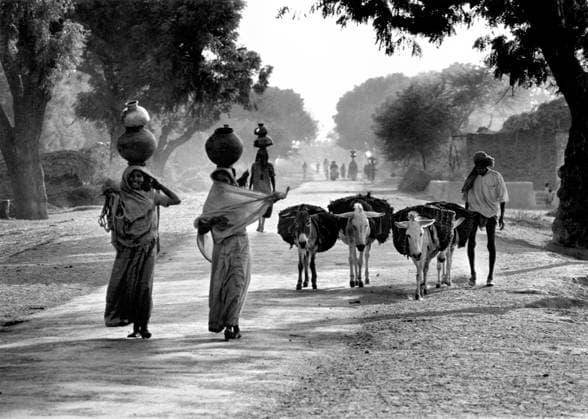 Street scene in village, India Copyright: xTxSatyan DinodiaxPhotox