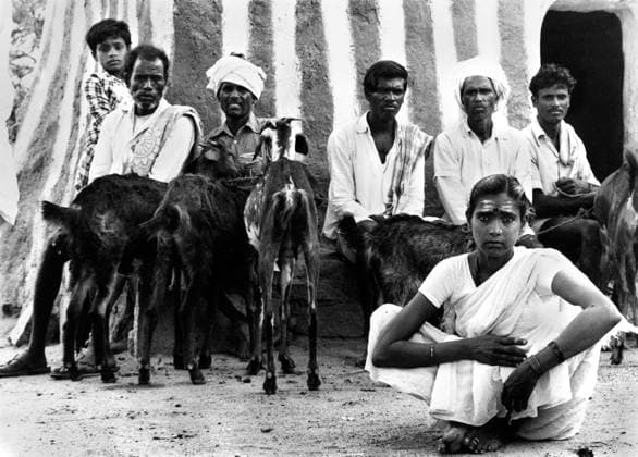 People seating in a group, India Copyright: xTxSatyan DinodiaxPhotox