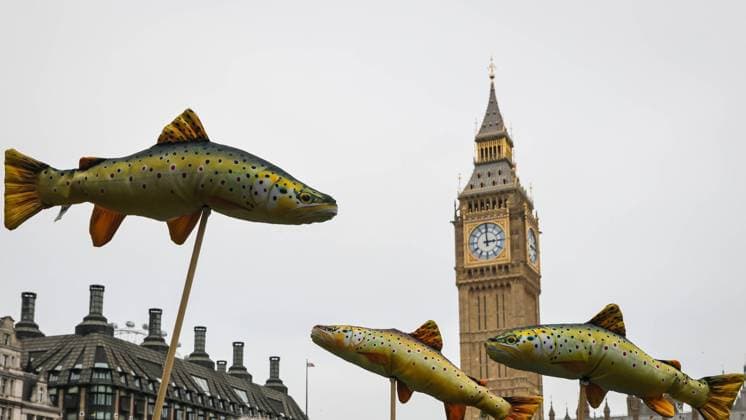 Bilder des Jahres 2024, News 11 November News Themen der Woche KW44 News Bilder des Tages March for Clean Water, London, England London, UK. 03rd Nov 2024. Protesters with fish swimming around the Elizabeth Tower, at the Parliament Square Rally. The March for Clean Water aims to raise issues around the pollution and poisoning of Britains water, both of rivers and lakes, and coastal waters, to protect wildlife and stop further environmental damage. The march and sets of on the Albert Embankment and concludes with a rally in Parliament Square., Credit:Avalon  Copyright: xAvalonx 0929948419