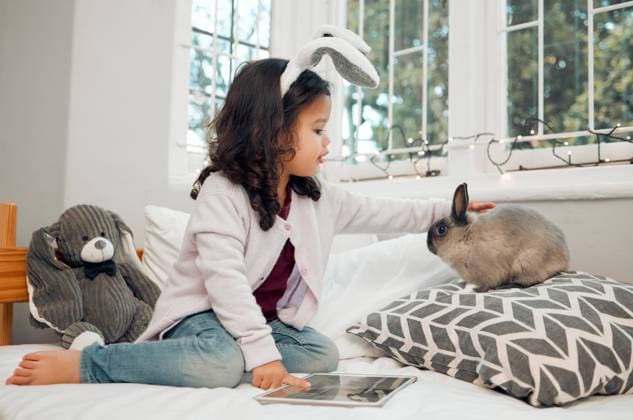 Child, rabbit and relax in home for love, responsibility and tablet on bed for pet care tutorial. Little girl, bunny or stroke on pillow for trust, development or tech in bedroom for animal education. model released property released Copyright: xwww.peopleimages.comx