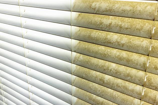 IMAGO Creative, Frühling, Frühjahrsputz Fensterläden für Wohngebäude, die das Vorher und Nachher einer guten Reinigung zeigen, eine Seite sauber und eine Seite schmutzig Residential window shades showing the before and after of a good cleaning, one side clean and one side dirty Copyright: imageBROKER AndyxDean ibxdea11696025.jpg