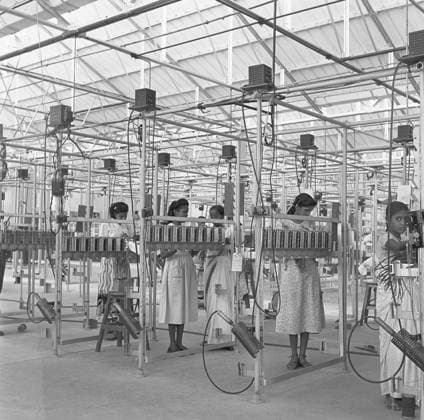 Workers at the assembly line ; telephone factory ; manufacturing of telephone instruments at Bangalore ; Karnataka Copyright: xTxSatyan DinodiaxPhotox