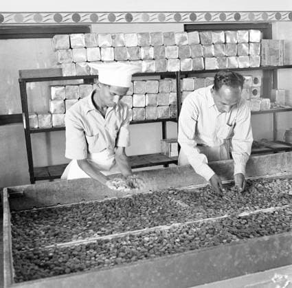 Year 1955 ; people working in sugar factory ; processing on sugarcanes ; Mandya ; Mandya district ; Karnataka ; India Copyright: xTxSatyan DinodiaxPhotox