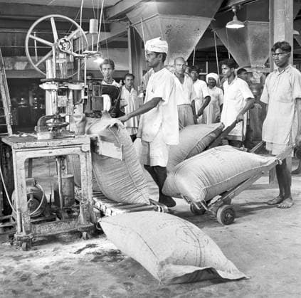 Year 1955 ; people working in sugar factory ; packing of sacks ; Mandya ; Mandya district ; Karnataka ; India Copyright: xTxSatyan DinodiaxPhotox