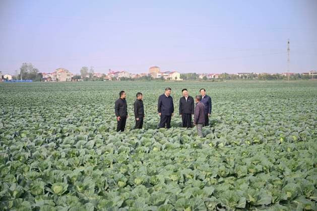 News Themen der Woche KW45 News Bilder des Tages (241105) -- WUHAN, Nov. 5, 2024 -- Chinese President Xi Jinping, also general secretary of the Communist Party of China Central Committee and chairman of the Central Military Commission, visits a vegetable farm in Panjiawan Town of Jiayu County in Xianning, central China s Hubei Province. Xi inspected the cities of Xiaogan and Xianning, central China s Hubei Province, from Monday afternoon to Tuesday morning. ) CHINA-HUBEI-XI JINPING-INSPECTION (CN) YanxYan 