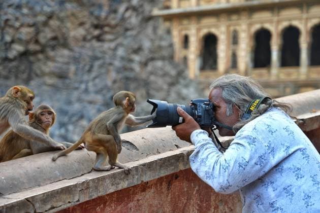 Entertainment Themen der Woche KW45 News Bilder des Tages Entertainment Bilder des Tages Tourists At Shrine Galta Ji Temple In Jaipur A photographer takes a photo of a macaque at the Shrine Galta Ji Temple in Jaipur, Rajasthan, India, on November 5, 2024. Jaipur India  Copyright: xVishalxBhatnagarx originalFilename: bhatnagar-notitle241105_np4Tq.jpg