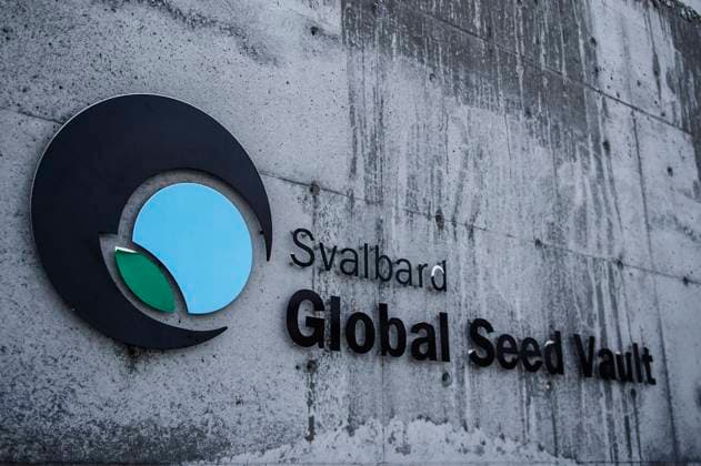 The Svalbard Global Seed Vault,Spitsbergen, Longyearbyen, plants ttexport x7141x *** The Svalbard Global Seed Vault,Spitsbergen, Longyearbyen, plants ttexport x7141x  Copyright: xAnna-KarinxNilsson EXP TTx SVALBARD GLOBAL SEED VAULT