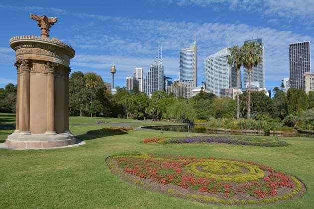 Royal Botanic Gardens Sydney Australia The Royal Botanic Gardens in Sydney New South Wales, Australia. Sydney Australia New South Wales NSW New South Wales NSW Australia EDITORIAL USE ONLY Copyright: xx RafaelxBen-Ari ChameleonsxEyex cecreative104629