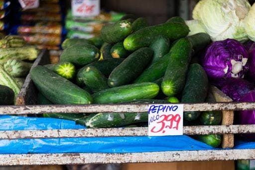 A closeup of fresh zucchini in a market with a price tag 26214654 RECORD DATE NOT STATED
