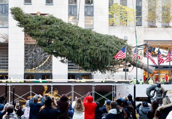 News Themen der Woche KW45 News Bilder des Tages Spectators watch as workers lift into place by crane the Rockefeller Center Christmas Tree when it arrives at Rockefeller Plaza in New York City on Saturday, November 9, 2024.  NYP20241109111 JohnxAngelillo