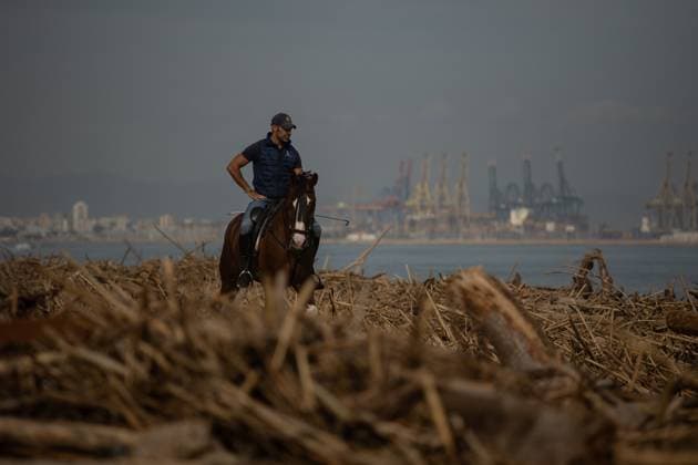News Themen der Woche KW45 News Bilder des Tages Eleven days after the passage of the DANA through Valencia A man rides a horse on the beach of El Saler after the passage of the DANA, on November 9, 2024, in Valencia, Valencian Community Spain The search efforts for possible victims of the DANA in the province of Valencia continue today with the deployment of search teams in the deepest areas of the Albufera, while work also continues in the area of the Magro river, the Poio wadi, the mouth of the Turia river and the sea According to the first report of Emergencies on the impact of the DANA, in the areas affected by the floods are operating about 2 450 firefighters from more than 40 agencies, in addition to 8 000 military, including 52 divers In addition, 25 000 hectares are affected in  Copyright: xAlejandroxMartinezxVÃ lezx 6331419