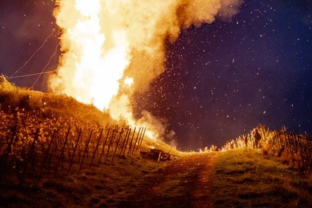 News Themen der Woche KW45 News Bilder des Tages Traditionelle Bergfeuer in Bad Neuenahr - 09.11.2024 Zum Martinsfest im Ahrtal entzünden vier ansässige Juggesellenvereine, wie hier beim JGV Niederhut (Niddehöde Jonge) Feuersäulen und Fackelschaubilder in den Weinbergen rund um Bad Neuenahr. Das schönste Schaubild wird von einer Jury nach dem Martinszug prämiert. Bad Neuenahr-Ahrweiler Rheinland-Pfalz Deutschland Copyright: xBonn.digitalx xMarcxJohnx