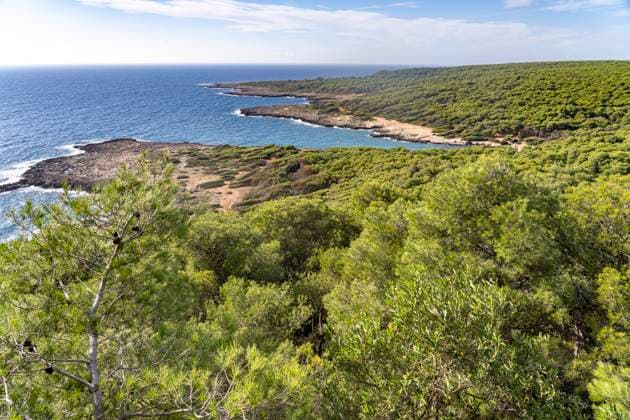 Creative Highlights World Naturschutzgebiet Porto Selvaggio Landschaft an der Küste des Naturschutzgebiet Porto Selvaggio, Santa Caterina, Nardo, Apulien, Italien, Europa Porto Selvaggio nature reserve coast landscape , Santa Caterina, Nardo, Italy, Europe