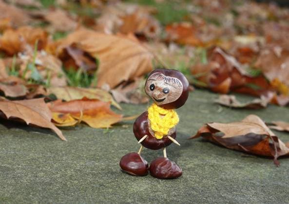 Witzige Kastanienfigur mit gelb Schal auf Mauer im Herbstlaub, Nordrhein-Westfalen, Deutschland, Europa Funny chestnut figure with yellow scarf on a wall in autumn leaves, North Rhine-Westphalia, Germany, Europe Copyright: imageBROKER CarolinexBrinkmann iblbtf11727666.jpg
