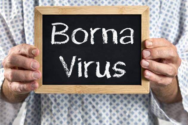 Bavaria, Germany - November 12, 2024: Borna virus, sick patient in patient gown with shield. Symbolic image for Borna disease or illness - virus and disease, as well as symptoms. *** Bornavirus, Erkrankter Patient im Patientenkittel mit Schild. Symbolbild für Borna-Krankheit bzw. Erkrankung - Virus und Krankheit, sowie Symptome.