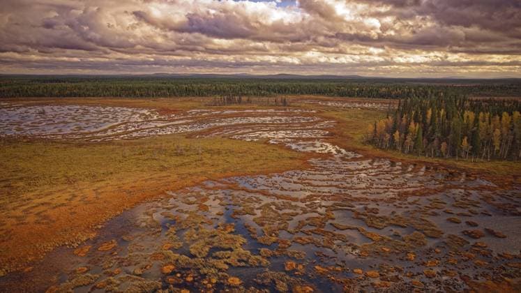 Moor, Herbst, intensive Färbung, beeindruckende Wolkenbildung, Drohnenaufnahme, mit Horizont, Lappland, Nordfinnland, Finnland, Europa Moor, autumn, intense colouring, impressive cloud formation, drone shot, with horizon, Lapland, Northern Finland, Finland, Europe Copyright: imageBROKER GerhardxKraus ibxgek11753055.jpg