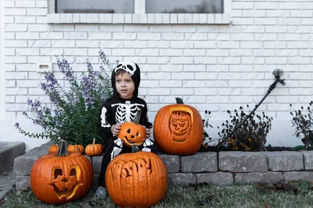 Creative Highlights Symbolbilder child in skeleton costume holding carved pumpkin outdoors Norman, Oklahoma, United States R_AOVS241023A-1567861-01 ,model released, Symbolfoto