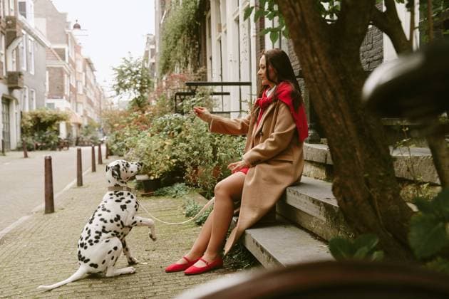Creative Highlights Symbolbilder Portrait of a beautiful woman with dalmatian dog in Amsterdam Amsterdam, North Holland, Netherlands R_DIRA241111-1579331-01 ,model released, Symbolfoto
