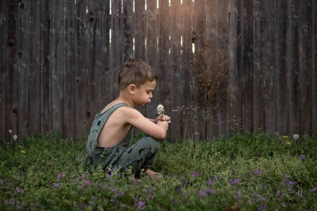 Creative Highlights Symbolbilder Young boy sits in grass and weeds, blowing on a dandelion by fence Norman, Oklahoma, United States CR_AOVS241025E-1567866-01 ,model released, Symbolfoto