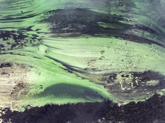 Creative Highlights World Luftbild, Top down view von Strömungslinien, Strukturen, Muster im Flussbett des Rheins, Bodensee, Landkreis Konstanz, Baden-Württemberg, Deutschland, Europa Aerial photograph, top-down view of flow lines, structures, patterns in the riverbed of the Rhine, Lake Constance, Constance district, Baden-Württemberg, Germany, Europe Copyright: imageBROKER MarkusxKeller ibxmkl11775559.jpg