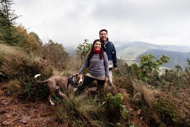 A happy couple with a dog pauses on a misty mountain trail, surrounded by lush greenery, capturing the essence of adventure and nature s tranquility Perfect for outdoor enthusiasts Model Released EduardoGavira_ID25004_724294_006 Copyright: xEduardoxGavirax