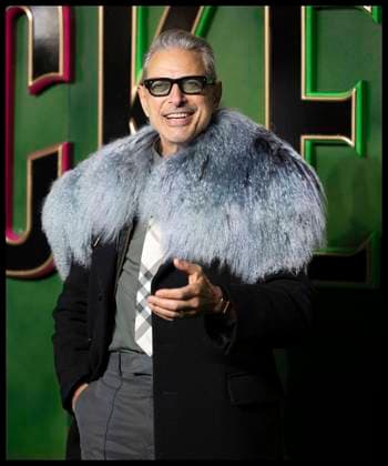 Bilder des Jahres 2024, Entertainment 11 November Entertainment Themen der Woche KW47 Entertainment Bilder des Tages . 18 11 2024. London, United Kingdom. Jeff Goldblum arriving at the Wicked premiere in London.  xStephenxLockx xi-Imagesx IIM-25585-0033
