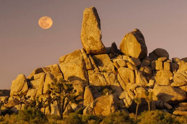Full moon over rocks, Joshua Tree National Park, California, USA 