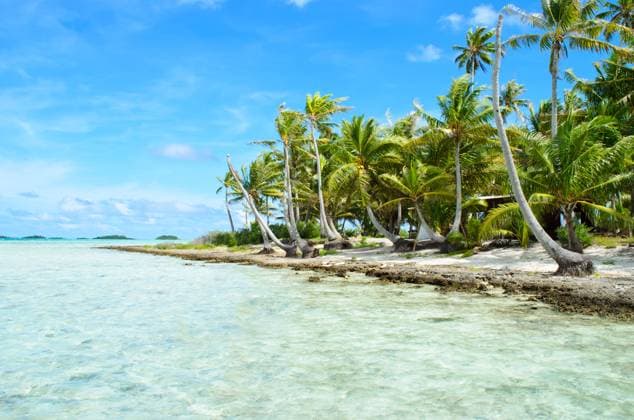 Coconut palms on the beach of a desert island near Tahiti in French Polynesia in the pacific ocean. , 3859163.jpg, Island, desert, Rangiroa, summer, tropical, French Polynesia, lagoon, shallow, pacific, ocean, sea, blue, Tahiti, polynesia, vacation, travel, landscape, caribbean, nature, atoll, Bora Bora, clear, water, palm, coconut, tree, beach, palms, RECORD DATE NOT STATED