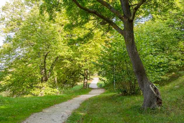 Pallisaderna Park in Visby, walkway in the direction of the southern part of the ring wall and the remains of Visborg Castle, Gotland Visby Sweden x2727x  Copyright: xHelenaxLarsson N TTx