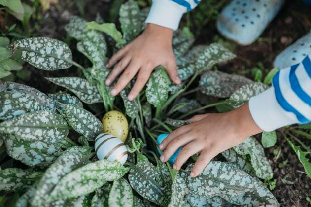 Hands of boy hiding easter eggs in plants at park model released, Symbolfoto, ANAF04052