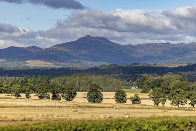 Bergformation, vorne abgeerntete Felder, Cairngorms National Park, Schottland, Großbritannien, Europa Mountain formation, harvested fields in front, Cairngorms National Park, Scotland, Great Britain Copyright: imageBROKER MichaelxSzönyi ibxszn11672573.jpg