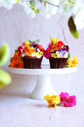 Japanese inspired carrot cupcakes with apple mint and edible flowers. Japanese inspired carrot cupcakes with apple mint and edible flowers. Copyright: xMilleflorexImagesx MIL221024-1