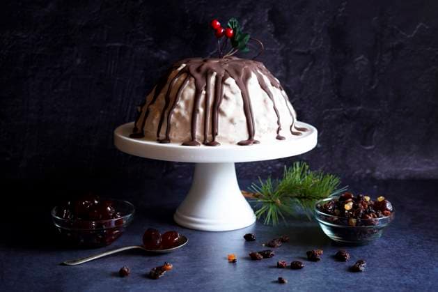 Ice Cream Plum Pudding on Dark Background. Ice Cream Plum Pudding on Dark Background. Copyright: xMilleflorexImagesx MIL250924-8