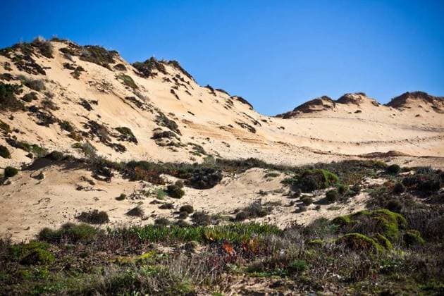  Dunes at the Ocean Beach in Portugal, Dunes at the Ocean Beach in Western Portugal. Horizontal Vignetted shot, Dunes at the Ocean Beach in Western Portugal. Horizontal Vignetted shot, 12.10.2024, Copyright: xTopdeqx Panthermedia38072537.jpg