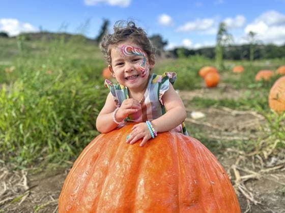 Creative Highlights Symbolbilder Kleines Mädchen pflückt Kürbisse auf einem Halloween Kürbisfeld. Kind spielt in Feld von Kürbis, Thanksgiving Urlaub Saison Little girl picking pumpkins on Halloween pumpkin patch. Child playing in field of squash, Thanksgiving holiday season Copyright: imageBROKER ThomasxDexWever ibxiqx11723137.jpg ,model released, Symbolfoto ,property released