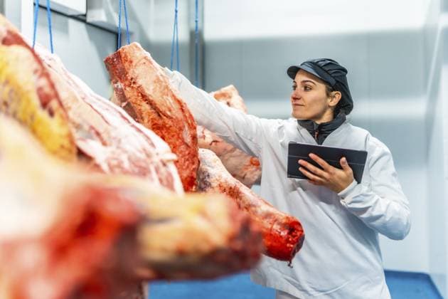 Metzgerin mit digitalem Tablet zur Analyse von Produkten in einem Fleischkühlraum Female butcher using digital tablet to analyze products in a cold meat storage room Copyright: imageBROKER UnaixHuizi ibxuhu11827937.jpg ,model released, Symbolfoto ,property released