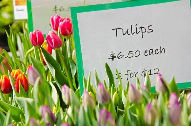 IMAGO Creative, Lifestyle, Frühling in der Stadt Colorful tulips for sale , 18.01.2023, TTBB_ti0148369.jpg, Growth, Tulip, Spring, Colorful, Beauty In Nature, Nature, Market, Abundance, Number, Vibrant Color, Price Tag, Western Script, Outdoors, Day, Horizontal, No People, Usa, New York State, New York City, Large Group Of Objects, Tulips, Flowers, For Sale Copyright: xTetraxImagesx