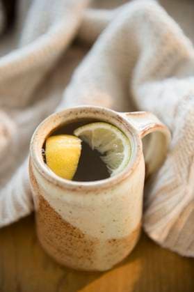 Hot tea with lemon slices , 26.01.2023, TTBB_ti02002610.jpg, Tea, Blanket, Mug, Wool, Lemon, Warmth, No People, Vertical, Indoors, Day, Focus On Foreground, Hot Beverage, Cozy, Winter, Wellness, Alternative Medicine, Freshness, Slice, Refreshment Copyright: xJamiexGrillx