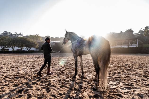 Creative Highlights Symbolbilder 783449156 A trainer leads a horse in a sandy arena during an early morning session, with sunlight casting flares across the scene. The atmosphere highlights the bond between human and animal. Model Released EduardoGavira_ID25338_732566_015 Copyright: xEduardoxGavirax