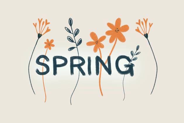 Charming hand-drawn illustration featuring delicate flowers surrounding the word spring. Perfect for seasonal designs, greeting cards, or decoration. Model Released HodeiUnzueta_ID25396_734088_004 Copyright: xHodeixUnzuetax RECORD DATE NOT STATED