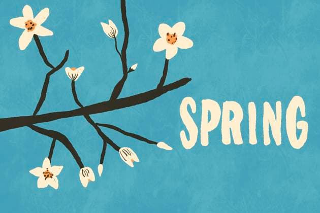 A minimalistic illustration depicting a branch with white blossoms on a textured blue background, evoking the essence of spring. The word spring is included in bold letters. Model Released HodeiUnzueta_ID25396_734093_009 Copyright: xHodeixUnzuetax RECORD DATE NOT STATED