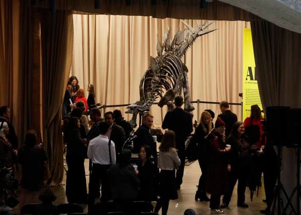 New York, Stegosaurus namens Apex im American Museum of Natural History A Stegosaurus fossil named Apex is revealed at a press preview at the American Museum of Natural History in New York City on Thursday, December 5, 2024. The fossil is on loan from billionaire Kenneth C. Griffin who purchased it in 2024 at auction from Sotheby s for $44.6 million making it the most expensive dinosaur fossil ever sold at auction.  NYP2024120505109 JOHNxANGELILLO
