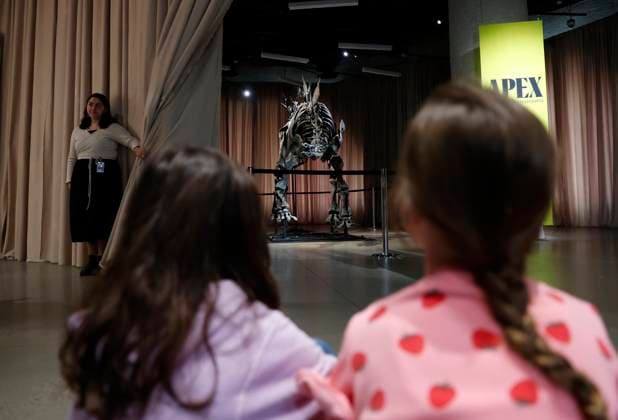 New York, Stegosaurus namens Apex im American Museum of Natural History A Stegosaurus fossil named Apex is revealed at a press preview at the American Museum of Natural History in New York City on Thursday, December 5, 2024. The fossil is on loan from billionaire Kenneth C. Griffin who purchased it in 2024 at auction from Sotheby s for $44.6 million making it the most expensive dinosaur fossil ever sold at auction.  NYP2024120505110 JOHNxANGELILLO