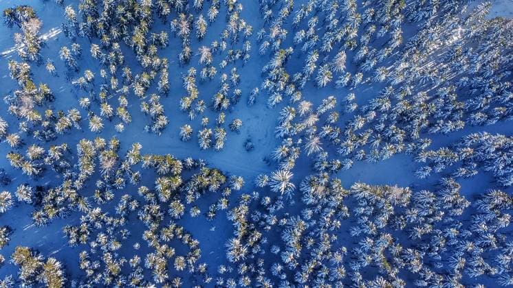 Bilder des Jahres 2024, News 12 Dezember News Themen der Woche KW49 News Bilder des Tages Winterlandschaft, Luftaufnahme, verschneiter Wald, Naturidylle, Klimawandel, Nachhaltigkeit, Umweltschutz, Biodiversität, CO2-Bindung, Erholung, Ruhe, unberührte Natur, Wintersport, globale Erwärmung, Symbolfoto für die Bedeutung der Erhaltung natürlicher Ressourcen und die Schönheit der nördlichen Hemisphäre im Winter. *** Winter landscape, aerial view, snow-covered forest, natural idyll, climate change, sustainability, environmental protection, biodiversity, CO2 sequestration, recreation, tranquillity, untouched nature, winter sports, global warming, symbolic photo for the importance of preserving natural resources and the beauty of the northern hemisphere in winter Copyright: xJOERANxSTEINSIEKx